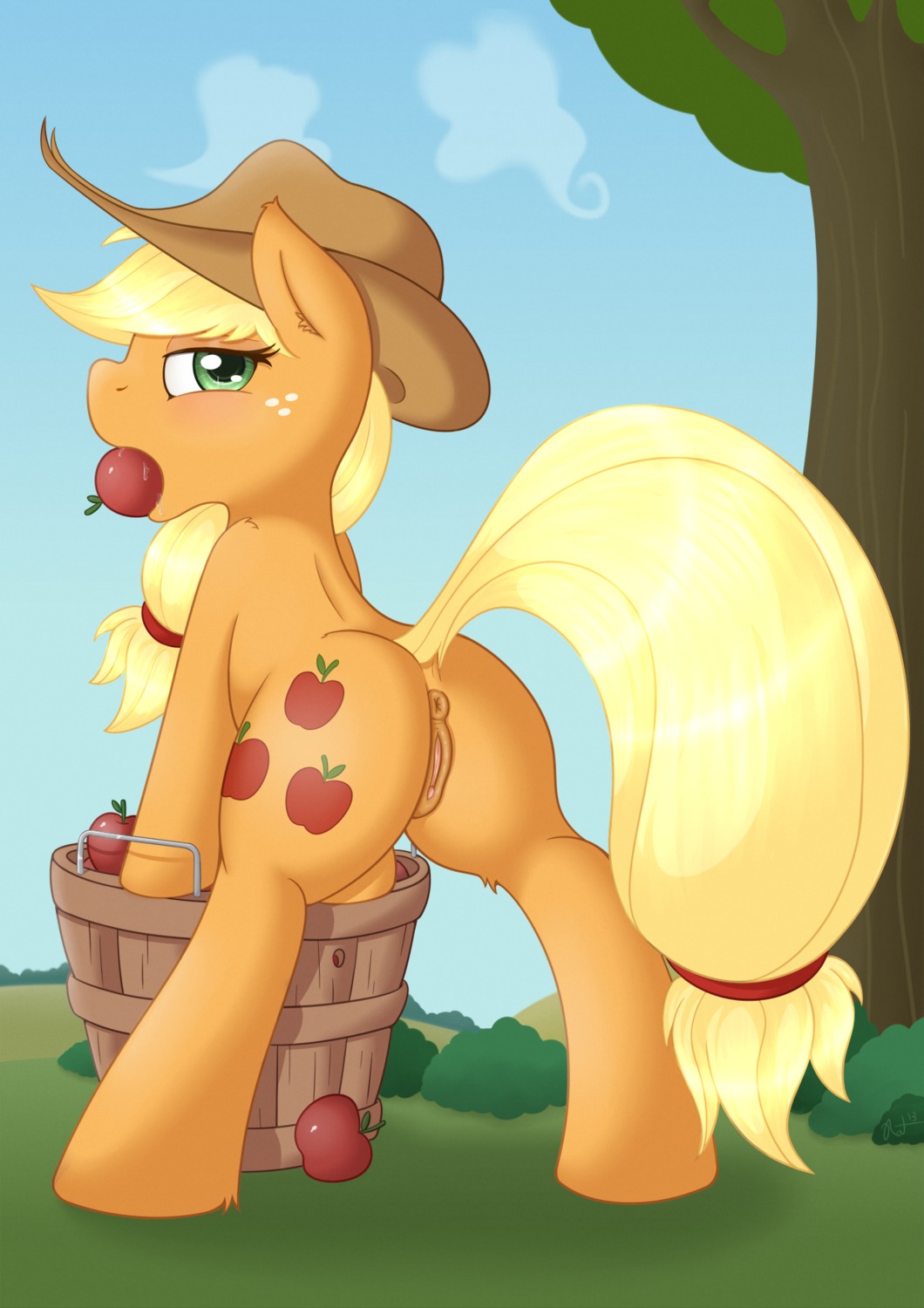 anus applejack_(mlp) clothing cutie_mark digital_media_(artwork) e621 earth_pony equid equine female feral friendship_is_magic genitals hasbro hat headgear headwear hi_res horse mammal my_little_pony pony quadruped ratofdrawn solo tail vulva