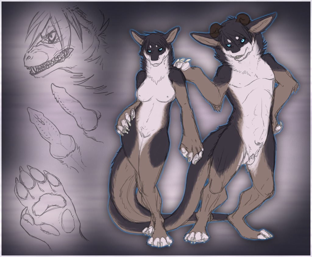 animal_genitalia anthro attached_sheath balls biped black_body black_fur black_hair blue_eyes border breasts brown_body brown_fur canid canine canis close-up dragon e621 erection female fully_sheathed fur furred_dragon furred_scalie genital_close-up genitals growling hair hand_on_hip horn hybrid knot looking_at_viewer male mammal model_sheet mythological_creature mythological_scalie mythology nubbed_penis nude pawpads paws penis penis_close-up pose scalie sheath side_view simple_background solo standing tail tan_body tan_fur white_balls white_body white_fur white_pawpads white_sheath wolf yaroul