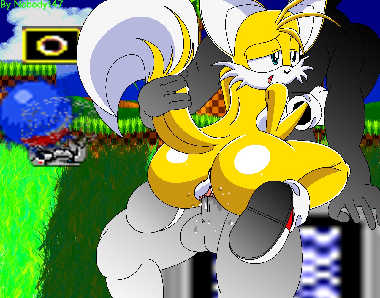 anthro anus canine exposed_torso female footwear fox fur furry furry_tail handwear interspecies miles_tails_prower mostly_nude multi_tail nobody147 pussy rule34 rule_63 sex sonic_(series) sonic_the_hedgehog_(series) sonic_the_hedgehog_2 tail tails tails_the_fox tailsko vaginal vaginal_penetration