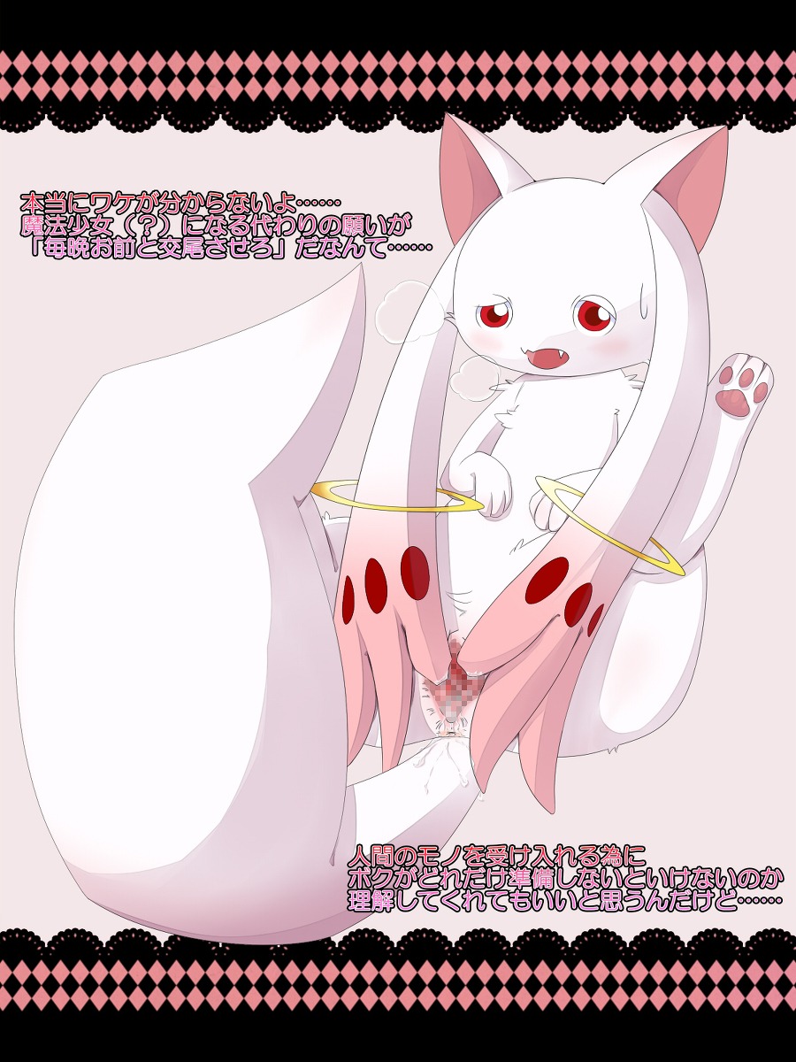 censored female kyuubee mahou_shoujo_madoka_magica puella_magi_madoka_magica rule34 rule_63