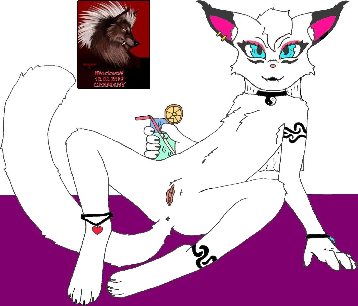 anthro beverage blackwolf choker domestic_cat e621 felid feline felis female food genitals hi_res jewelry mammal necklace solo tail vulva