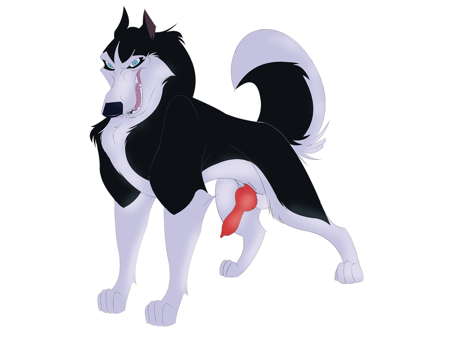 alaskan_malamute balto_(series) blue_eyes canid canine canis domestic_dog e621 erection feral genitals gunzcon hi_res male mammal nordic_sled_dog penis simple_background solo spitz steele_(balto) tail universal_studios white_background