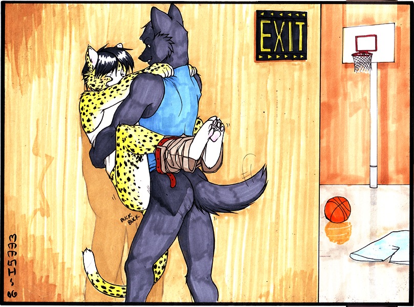 2006 anal anal_penetration anthro anthro_on_anthro ball basketball_(ball) basketball_court basketball_hoop bottomless butt canid canine canis cheetah clothed clothing digital_media_(artwork) duo e621 felid feline fur leopard male male/male male_penetrated male_penetrating male_penetrating_male mammal meesh pantherine penetration public public_sex sex sport tail traditional_media_(artwork) wolf