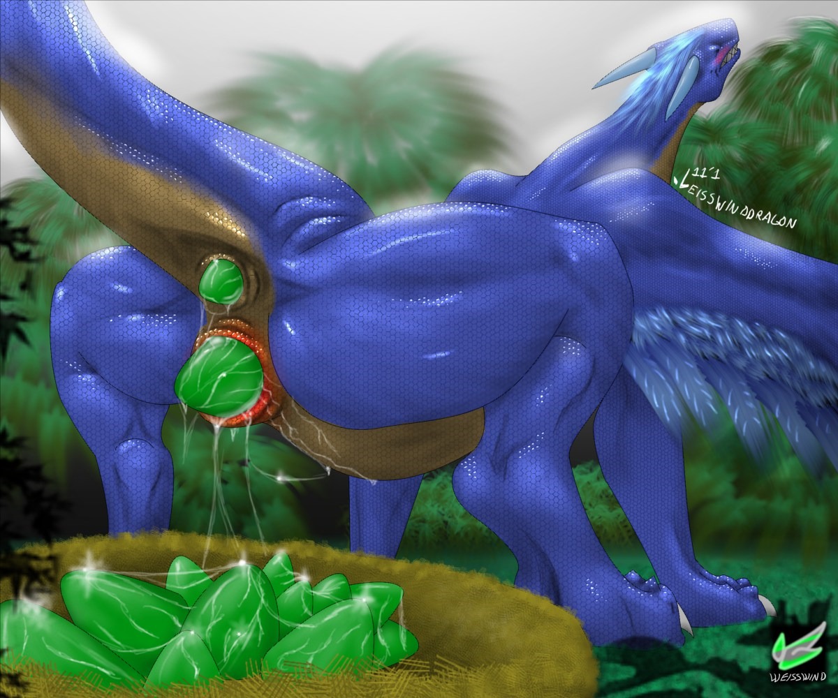 6:5 anal_oviposition anus blue_body blush dragon e621 egg european_mythology feathered_dragon feathered_scalie feathered_wings feathers female feral horn inheritance_cycle membrane_(anatomy) membranous_wings mythological_creature mythological_scalie mythology outside oviposition saphira scalie solo tail vaginal_oviposition weisswinddragon western_dragon wings