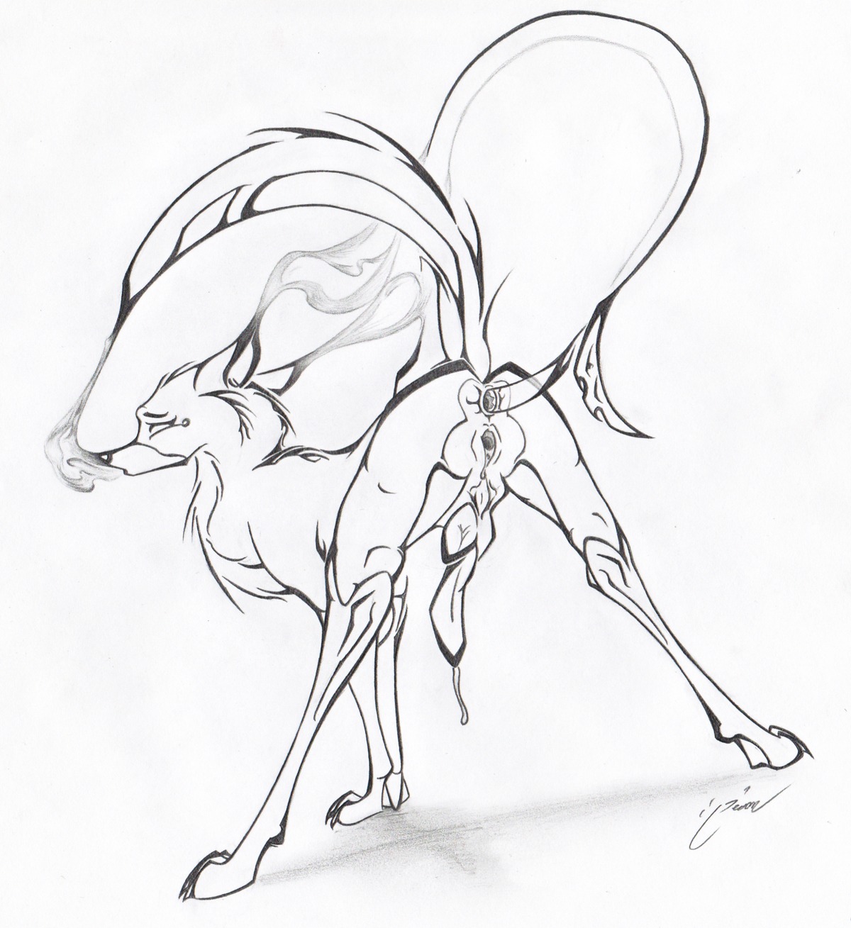 anal anal_penetration anus black_and_white bodily_fluids butt canid canine claws digitigrade e621 erection feral flower_fox fox genital_fluids genitals herm herm_feral hi_res intersex intersex_feral knot line_art magnificent-arsehole mammal monochrome penetration penis precum presenting raised_tail sackless simple_background solo tail vulva white_background