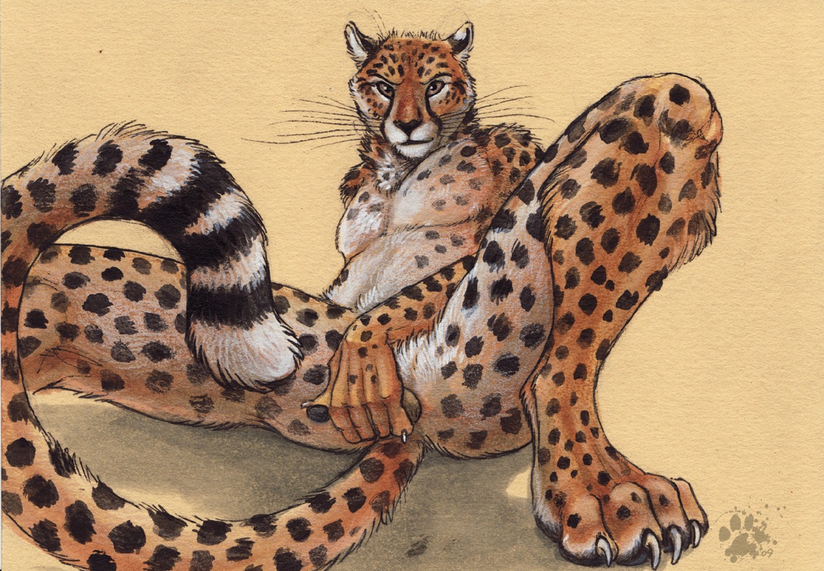 2009 anthro balls barely_visible_balls barely_visible_genitalia biped black_nose blotch cheetah claws covering covering_crotch covering_self digitigrade e621 feet felid feline genitals hindpaw looking_at_viewer male mammal paws scratches_volume_3 sitting solo spots spread_legs spreading tail tail_between_legs toe_claws traditional_media_(artwork) whiskers
