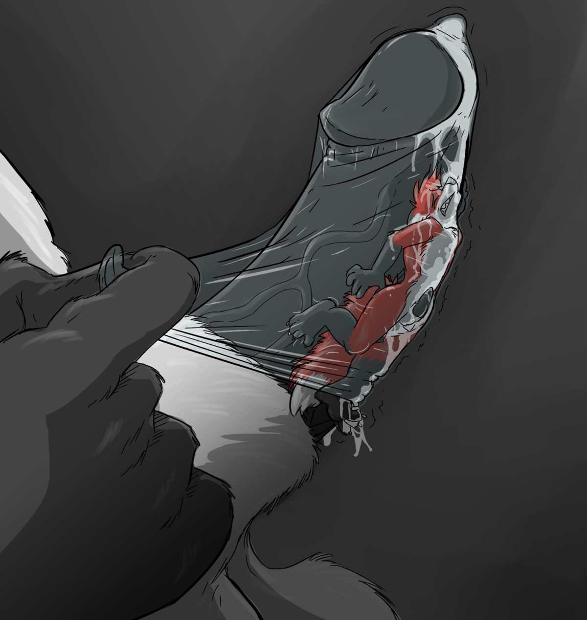 2011 4_toes animal_genitalia anthro balls beherit biped black_body black_fur black_penis bodily_fluids canid canine condom cum dipstick_tail dominant duo e621 erection extreme_size_difference eyes_closed feet fox fur genital_fluids genital_focus genitals grey_background hi_res humanoid_genitalia humanoid_penis larger_dom larger_male male male/male mammal markings micro multicolored_body multicolored_fur penis penis_focus questionable_consent red_body red_fur sexual_barrier_device sheath simple_background size_difference smaller_male tail tail_markings toes trapped_in_condom two_tone_body two_tone_fur wearing_condom