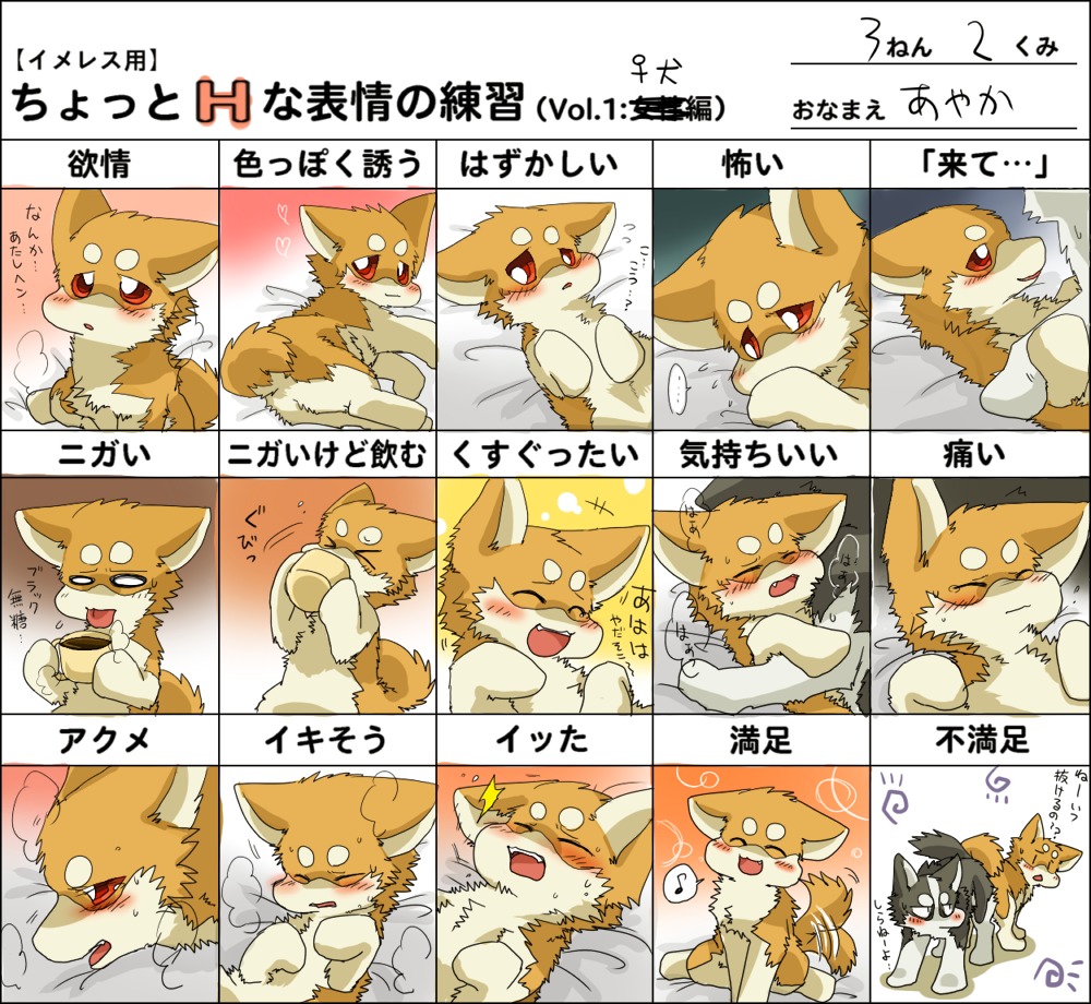 accessory ayaka blush breath canid canine canis countershading domestic_dog duo e621 female feral husky japanese_text kyappy male male/female mammal necktie nordic_sled_dog panting sex shibeta solo_focus spitz tail text translated