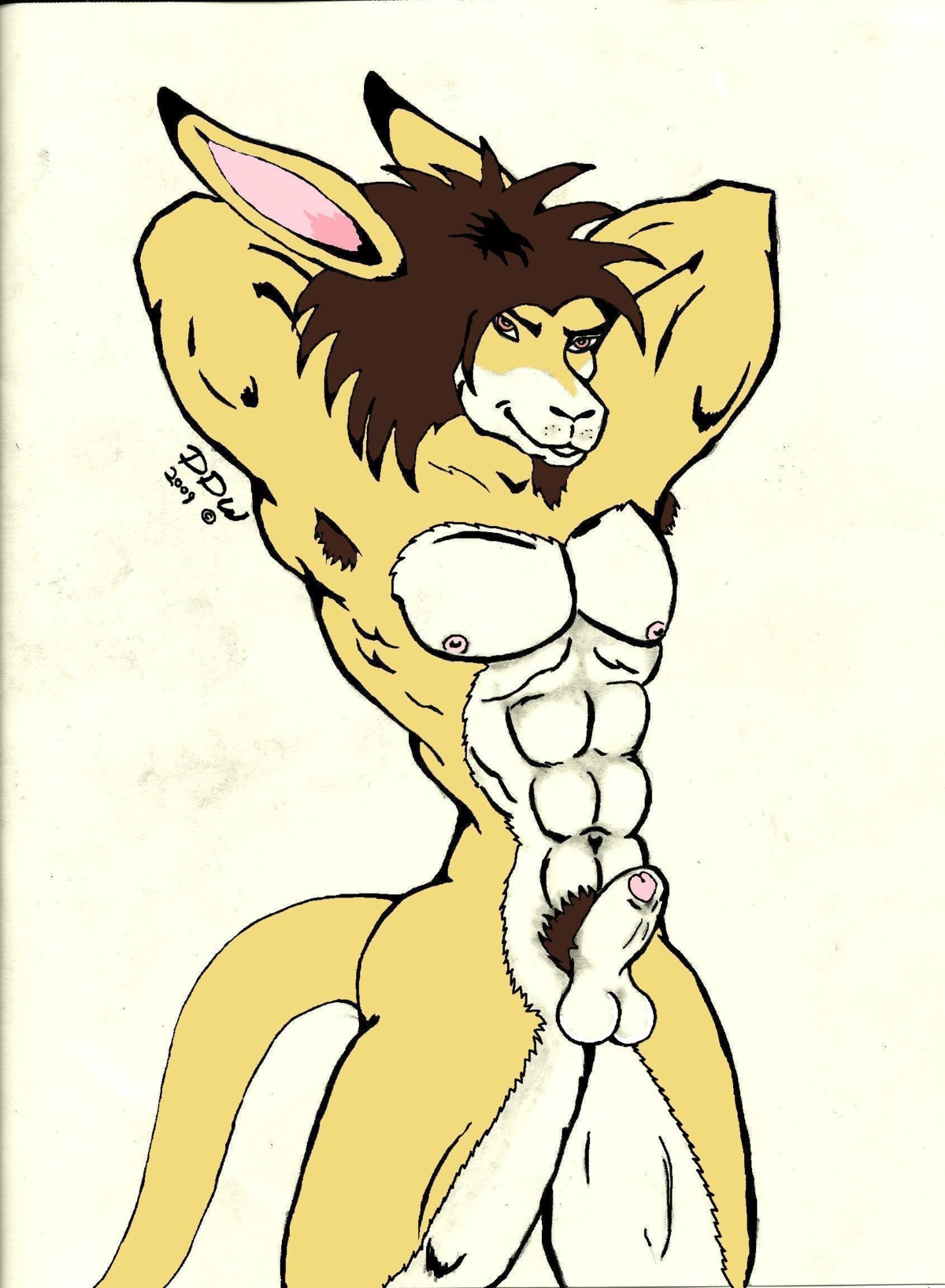 anthro armpit_hair balls body_hair ddw e621 felid foreskin fur genitals hi_res hybrid kangaroo lion macropod male mammal marsupial muscular muscular_anthro muscular_male pantherine partially_retracted_foreskin penis pubes solo tail