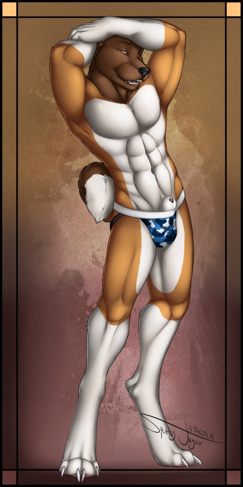 2010 4_toes abs akita animal_genitalia anthro arms_above_head black_nose brown_body brown_fur canid canine canis claws clothed clothing domestic_dog e621 feet front_view fur genitals half-closed_eyes hurst jockstrap leg_markings looking_at_viewer male mammal markings muscular muscular_anthro muscular_male narrowed_eyes navel open_mouth pecs penis penis_tip sheath simple_background socks_(marking) solo spitz spottyjaguar tail teeth thong toe_claws toes topless underwear white_body white_fur yellow_eyes