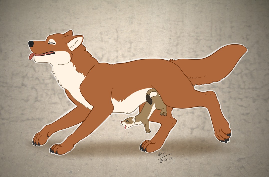 all_fours ambiguous_gender balls_deep canid canine canis cock_hanging conditional_dnp digital_media_(artwork) digitigrade doggystyle dominant duo e621 eyes_closed feral feral_on_feral from_behind_position interspecies knotting large_penetration larger_dom living_condom male male/ambiguous mammal moodyferret mustelid musteline nude penetration penile penile_penetration quadruped running sex size_difference smaller_penetrated stoat tail tight_fit tongue tongue_out true_musteline weasel wolf