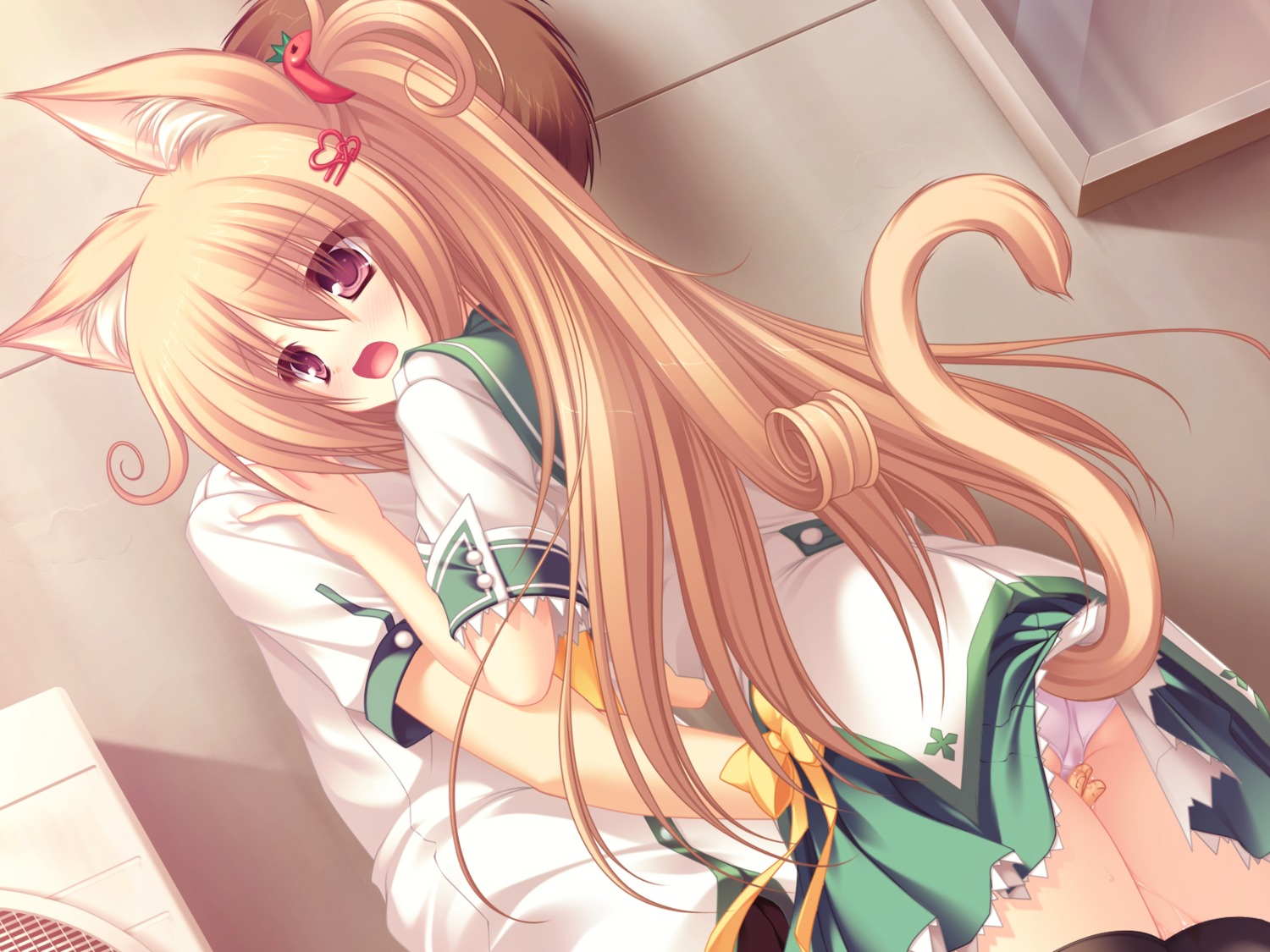 animal_ear blush brown_eyes brown_hair cat_girl catgirl female fingering game_cg mikagami_mamizu neko_koi panties rule34 ryuudou_misaki tail underwear wet whirlpool