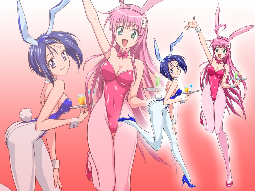 2girls animal_ear breasts bunny_ear bunny_girl bunnysuit cameltoe cleavage clothing female female_only high_heels lala_satalin_deviluke multiple_females multiple_girls natsuya_(circle) pantyhose pussy rule34 sairenji_haruna small_breasts smile tate_machi to_love-ru wrist_cuffs