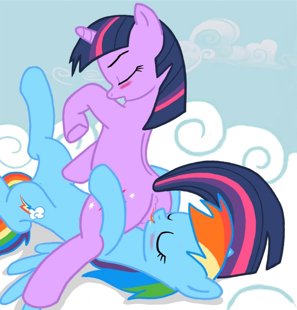 equine female feral friendship_is_magic groovebird hasbro horse my_little_pony pegasus pony rainbow_dash_(mlp) rule34 smooth_skin tail twilight_sparkle_(mlp) unicorn