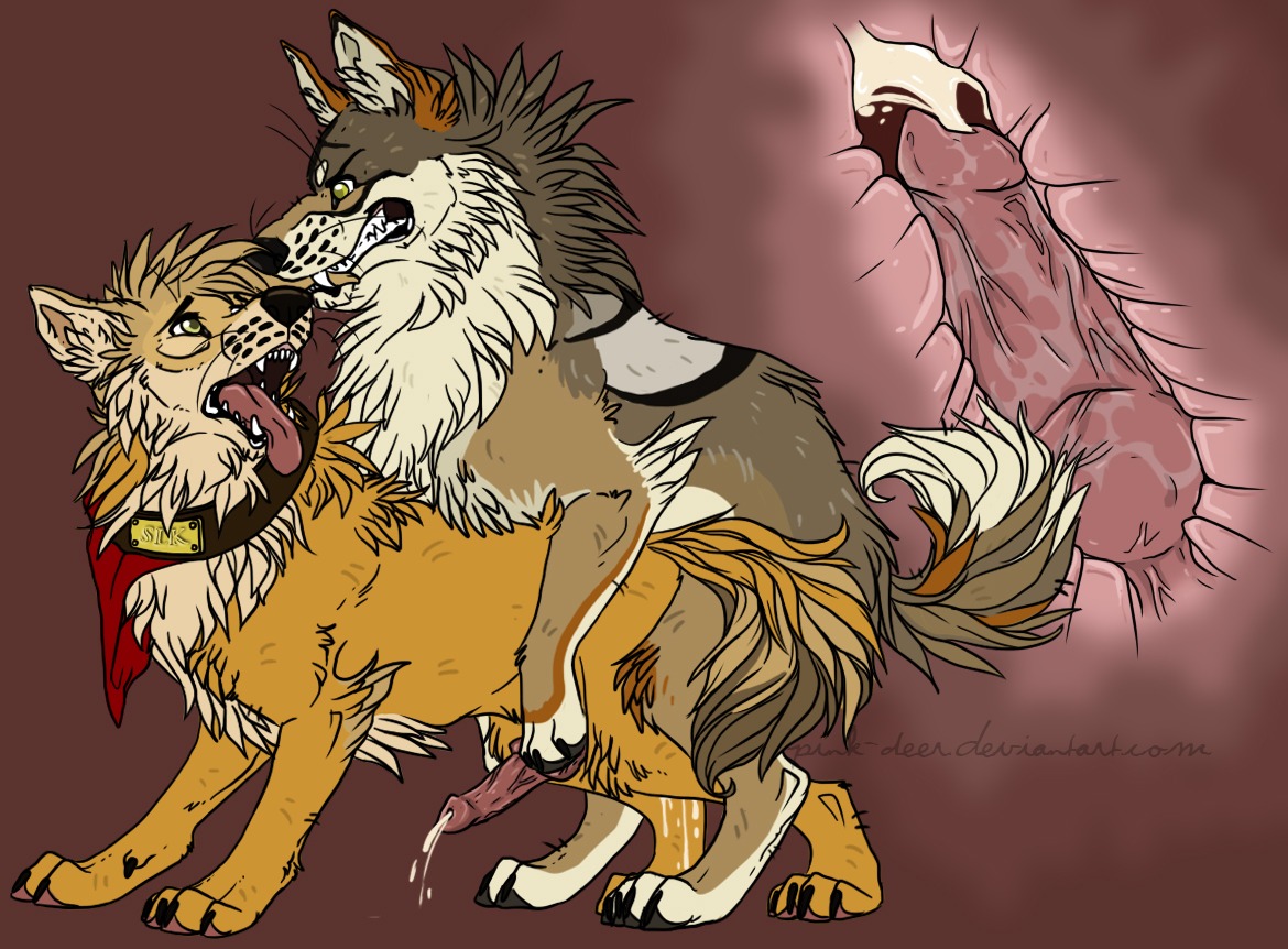 anal anal_knotting anal_penetration bite bodily_fluids canid canine canis coyote cum cum_in_ass cum_inside duo e621 erection feral feral_on_feral genital_fluids genitals internal knot knotting male male/male male_penetrated male_penetrating male_penetrating_male mammal open_mouth penetration penis pink-deer sex tongue wolf