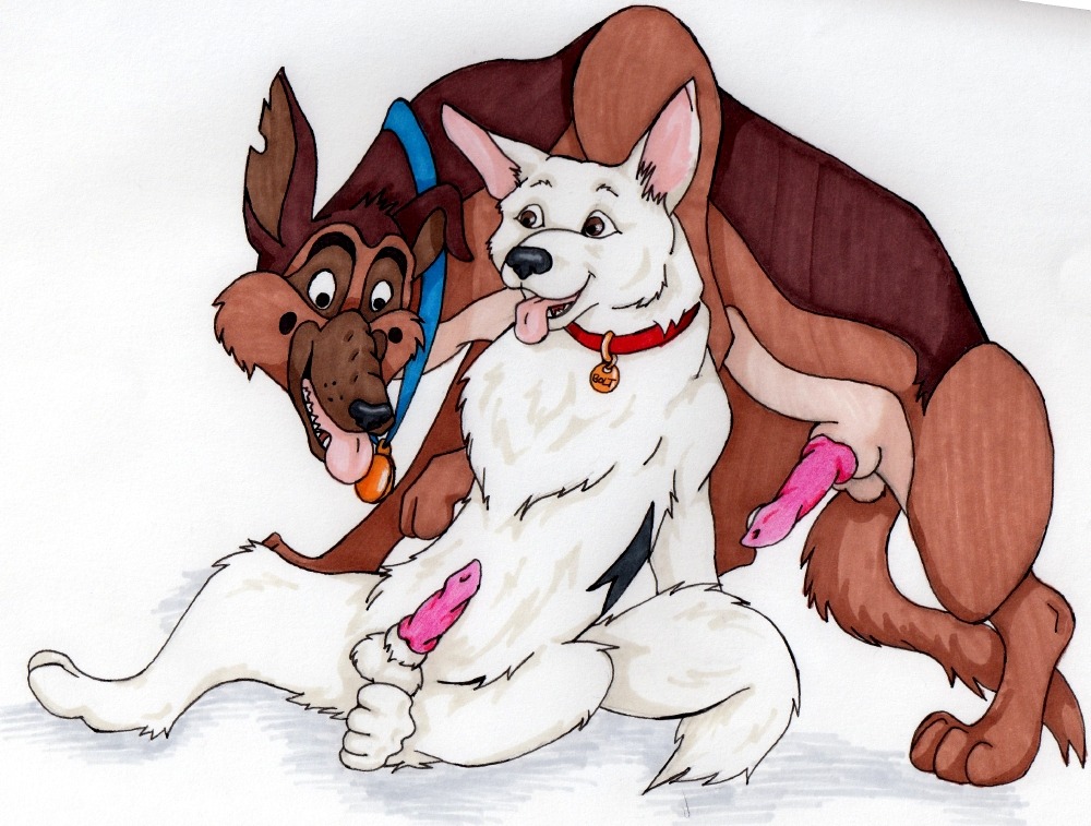 all_dogs_go_to_heaven animal_genitalia animal_penis balls bolt_(bolt) bolt_(film) canid canine canine_genitalia canine_penis canis charlie_barkin collar crossover digitigrade disney domestic_dog don_bluth duo e621 erection feral genitals german_shepherd herding_dog knot male male/male mammal pastoral_dog penis quadruped simple_background tail tongue tongue_out unknown_artist white_background