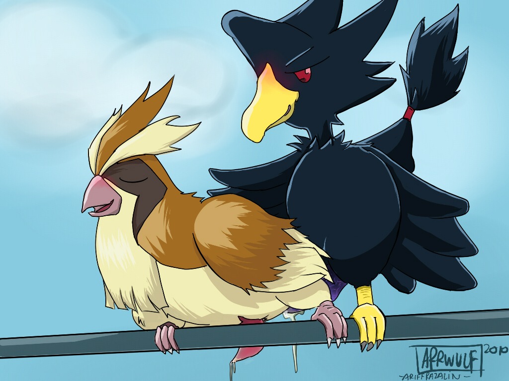2010 arrwulf avian bird color cum day feral interspecies male male_only multiple_males murkrow nintendo nude outdoors penis pidgey pokemon pokemon_(species) rule34 tagme yaoi