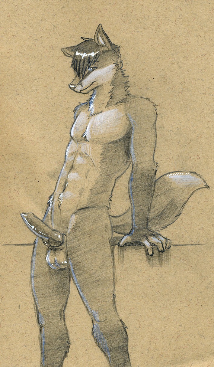 animal_genitalia animal_penis anthro athletic athletic_anthro athletic_male balls canid canine canine_genitalia canine_penis e621 erection fox genitals hi_res knot looking_at_viewer male mammal nude penis solo tail tush_(artist)