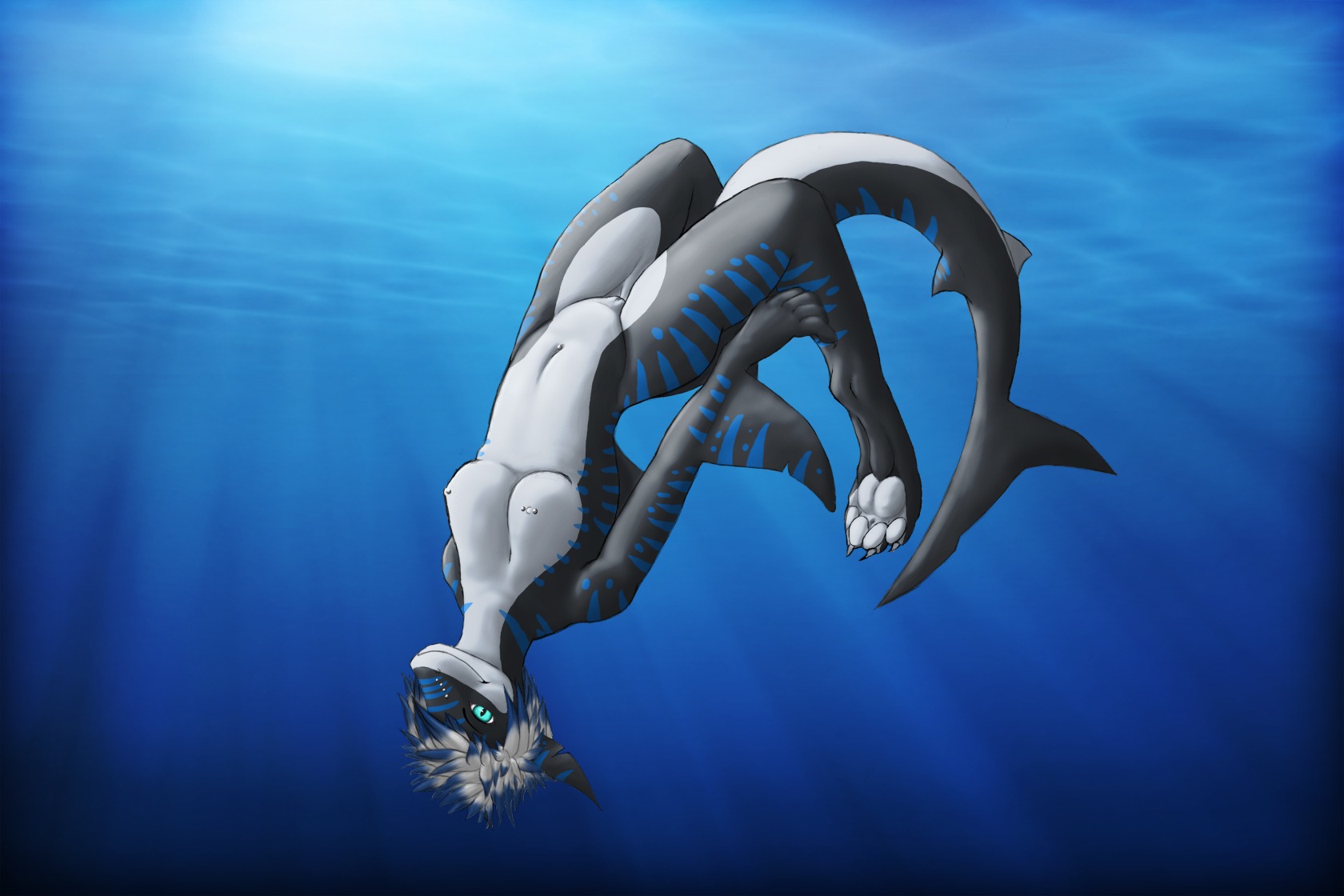 3:2 3_toes anthro aquatic blue_eyes blue_hair blue_markings breasts claws clothed clothing countershading digitigrade e621 feet female fish genitals hair hi_res hindpaw markings multicolored_body nika_sharkeh nipples non-mammal_breasts non-mammal_nipples nude orikalin paws piercing shark skimpy soles solo stripes swimming tail toe_claws toes underwater vulva water