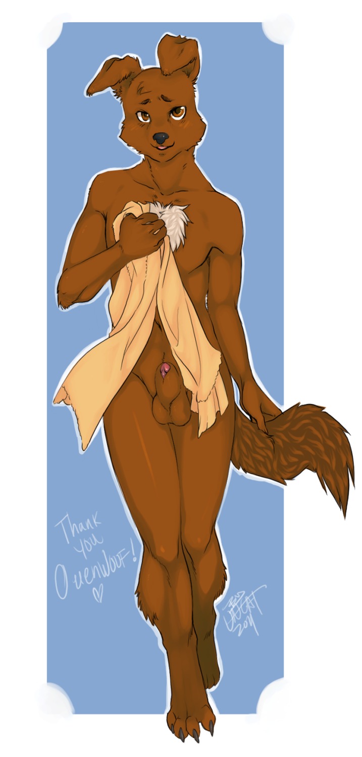 animal_genitalia anthro balls bird_dog canid canine canis domestic_dog e621 genitals hi_res holding_object holding_towel hunting_dog labrador male mammal nude ouenwoof penis penis_tip retriever sheath solo tail towel unregisteredcat