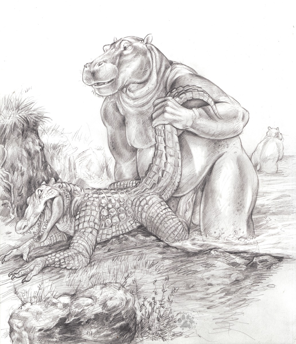 2009 alligator alligatorid anthro anthro_on_anthro balls blotch common_hippopotamus crocodile crocodilian dominant duo_focus e621 eye_contact flaccid from_behind_position genitals grass greyscale group hi_res hippopotamid humanoid_genitalia humanoid_penis imminent_sex interspecies larger_dom larger_male looking_at_another looking_back lying male male/male mammal monochrome nude on_front outside overweight penis plant predator/prey public raised_tail reptile rock role_reversal scalie scratches_volume_3 sex simple_background size_difference slightly_chubby smaller_male tail tail_grab traditional_media_(artwork) water white_background
