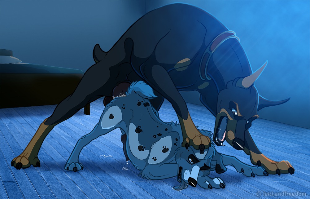 2014 aggressive all_fours anal anal_penetration angry animal_genitalia ass_up australian_shepherd balls blue_eyes bodily_fluids breath canid canine canis cum cum_in_ass cum_inside cum_on_ground domestic_dog dominant dominant_male duo e621 erection faithandfreedom feral feral_on_feral floppy_ears from_behind_position fur genital_fluids genitals hand_on_head herding_dog jake_(faithandfreedom) klaus_doberman_(character) knot larger_dom male male/male male_penetrated male_penetrating male_penetrating_male mammal nude one_eye_closed open_mouth panting pastoral_dog penetration penis pinned precum raised_tail sex sheepdog size_difference tail tongue tongue_out