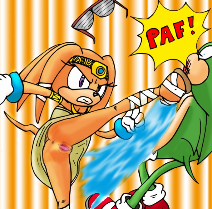 2d anthro bottomless clothes color echidna female fur furry glasses gloves green_fur hedgehog interspecies kick male mobian mobian_(species) mobian_echidna no_panties no_panties_under_skirt orange_fur purple_eyes pussy raised_leg rule34 scourge_the_hedgehog sega shoes side_view sonic_(series) sonic_adventure sonic_the_hedgehog_(series) tagme tikal_the_echidna violence vulva