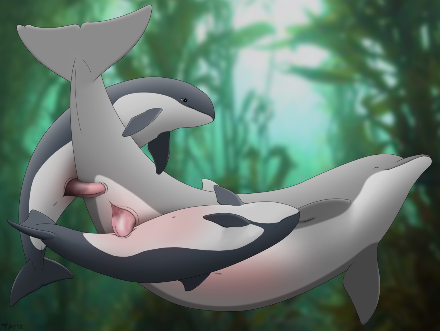 2012 anal anal_penetration animal_genitalia animal_penis animal_vulva anus aquatic bisexual bisexual_sandwich bisexual_train cetacean cetacean_genitalia cetacean_penis cetacean_vulva dolphin dorsal_fin e621 erection eyes_closed female female_penetrated feral feral_on_feral feral_penetrated feral_penetrating feral_penetrating_feral fin flippers fully/fully_submerged fully_submerged genital_slit genitals green_eyes group group_sex hi_res larger_penetrated looking_pleasured male male/female male/male male_penetrated male_penetrating male_penetrating_female male_penetrating_male mammal mouth_closed oceanic_dolphin penetration penis pink_penis porpoise prehensile_penis sandwich_position sex sex_in_water size_difference smile tail tail_fin tapering_penis tasuric threesome toothed_whale train_position trio underwater underwater_sex vulva water