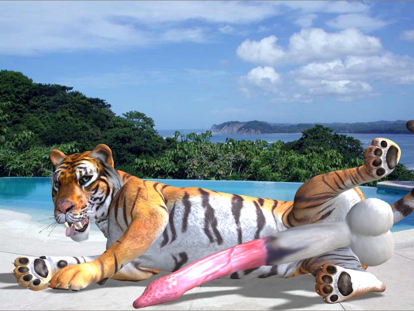 3d_(artwork) animal_genitalia balls beach big_balls big_penis detailed_background digital_media_(artwork) e621 erection felid feral fur genitals huge_balls hyper letterbox looking_at_viewer lying male mammal on_side orange_body orange_fur outside pantherine pawpads paws penis presenting realistic_feral sand seaside sky solo spread_legs spreading tapiko tiger tongue tongue_out water white_body white_fur