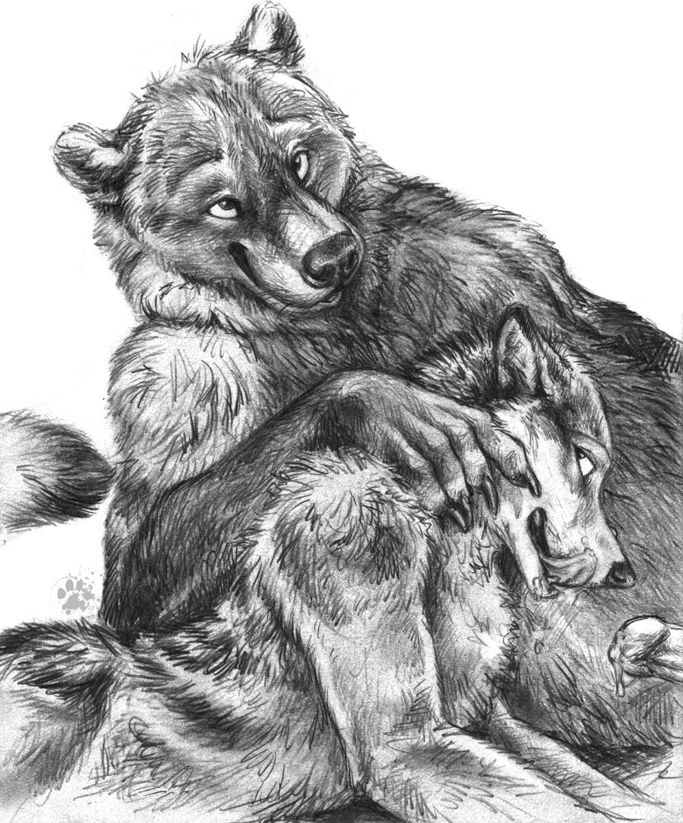 2012 anthro bear blotch bodily_fluids canid canine canis cum cum_in_mouth cum_inside cum_on_face cum_on_penis duo e621 erection genital_fluids genitals hi_res interspecies looking_back male male/male male_penetrated male_penetrating male_penetrating_male mammal monochrome oral orgasm orgasm_face penetration penis romantic romantic_couple scratches_volume_6 sex simple_background sketch tongue tongue_out traditional_media_(artwork) white_background wolf