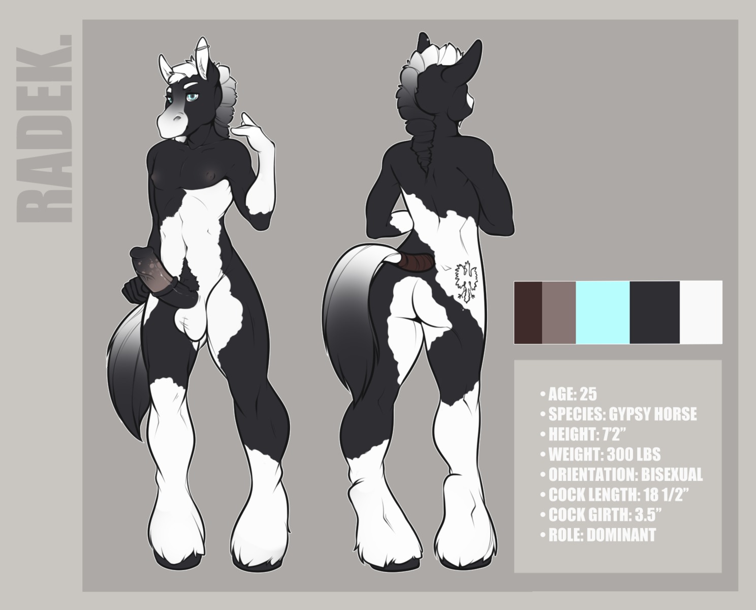 animal_genitalia animal_penis anthro balls e621 ear_piercing equid equine equine_genitalia equine_penis erection flat_colors genitals gypsy_vanner hi_res hooves horse male mammal model_sheet nipples penis piercing radek_(lordwolfie) solo teil