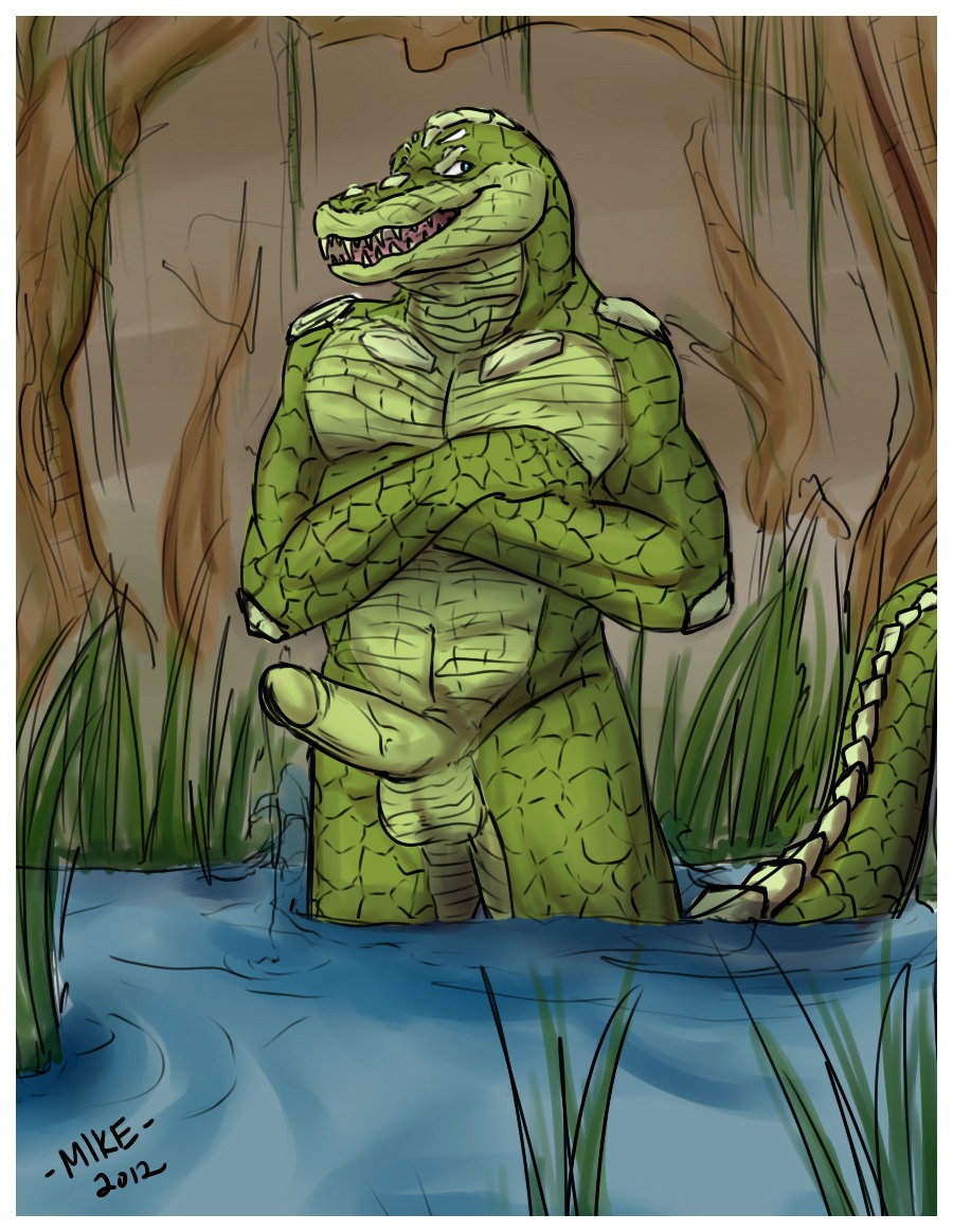 2012 alligator alligatorid anthro balls border crocodilian e621 erection genitals male mike_(artist) penis reptile scalie solo white_border