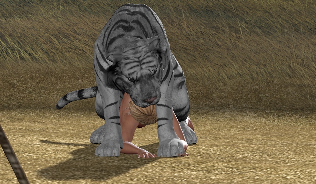 3d_(artwork) bestiality digital_media_(artwork) digitigrade duo e621 felid female female_on_feral feral human human_on_feral interspecies leucistic male male/female male_on_human mammal markings pantherine quadruped realistic_feral sex tail tiger unknown_artist