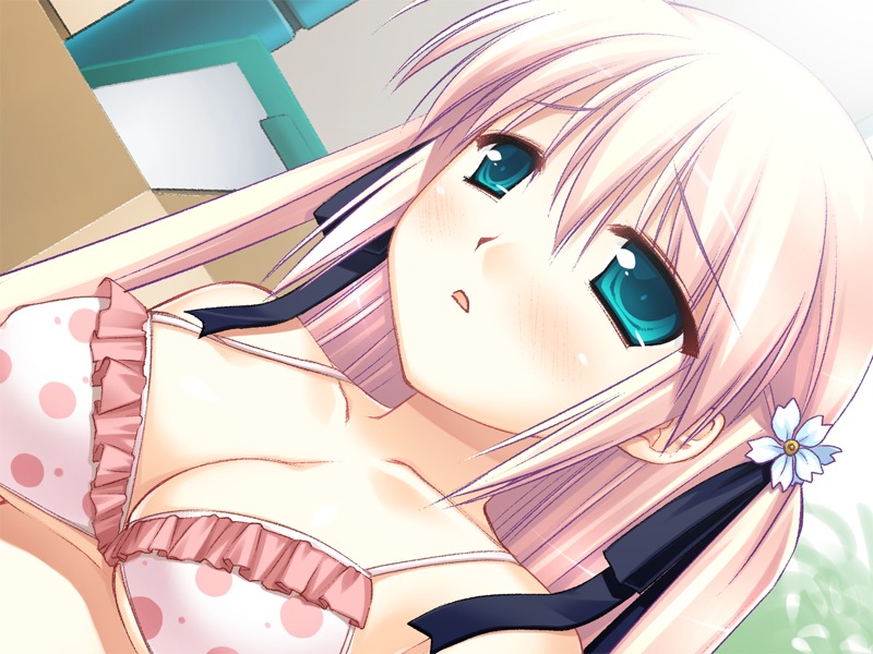 1girls cg eroge female female_only flower game_cg koibito_doushi_de_suru_koto_zenbu long_hair pink_hair rule34 sirius solo tagme