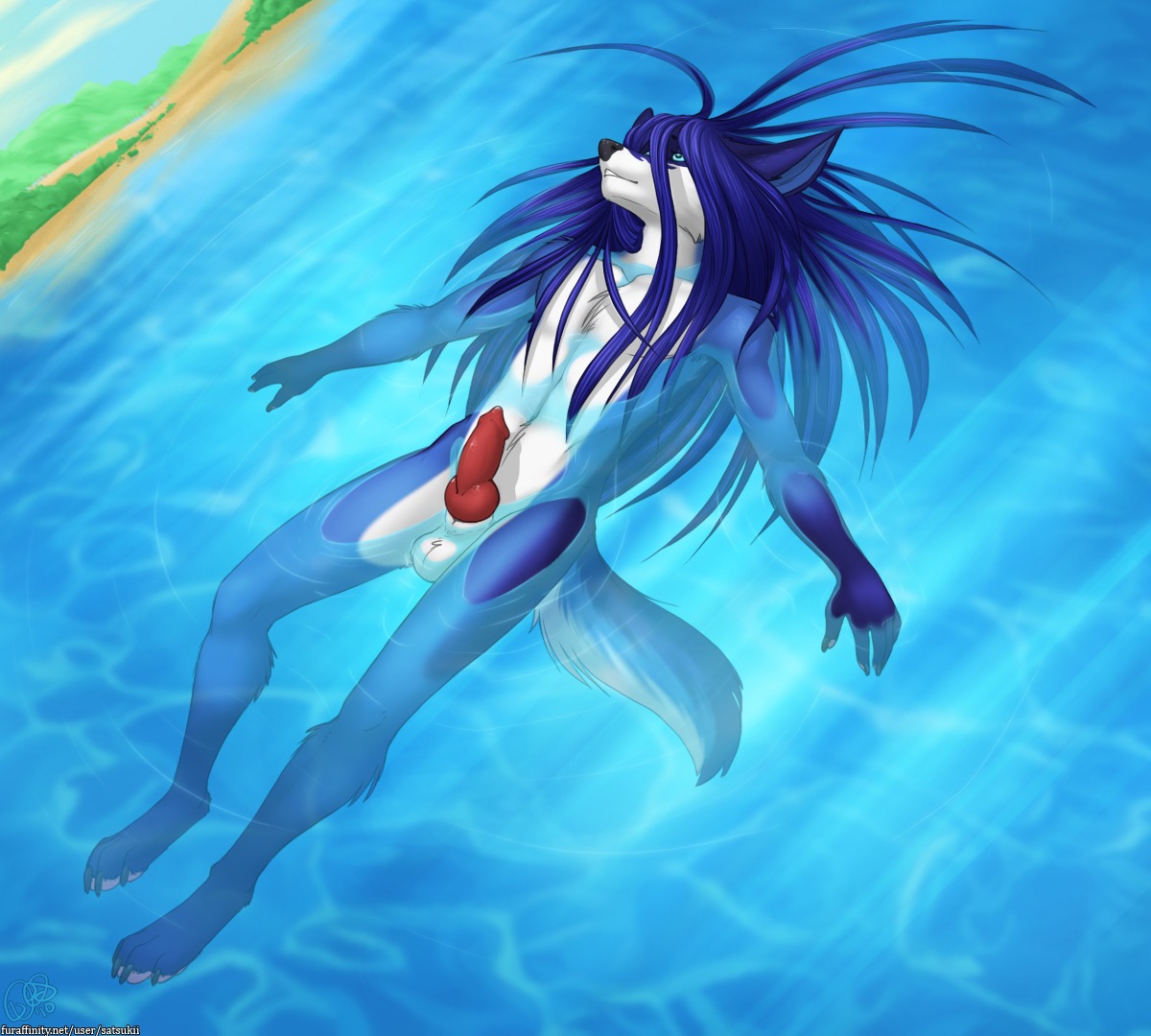 2010 4_toes animal_genitalia animal_penis anthro balls beach biped black_claws black_nose blue_body blue_eyes blue_fur blue_hair blue_sky canid canine canine_genitalia canine_penis canis chest_tuft claws digital_media_(artwork) e621 erection feet floating floating_on_water fully_submerged_tail fur genitals hair knot long_hair lying male mammal multicolored_body multicolored_fur nature nude nude_beach on_back outdoor_nudity outside partially_submerged pawpads paws penis plant rahne red_penis satsukii seaside skinny_dipping sky smile solo spread_arms submerged_arms submerged_legs submerged_tail summer tail toes tree tuft two_tone_body two_tone_fur water wet white_body white_fur wolf