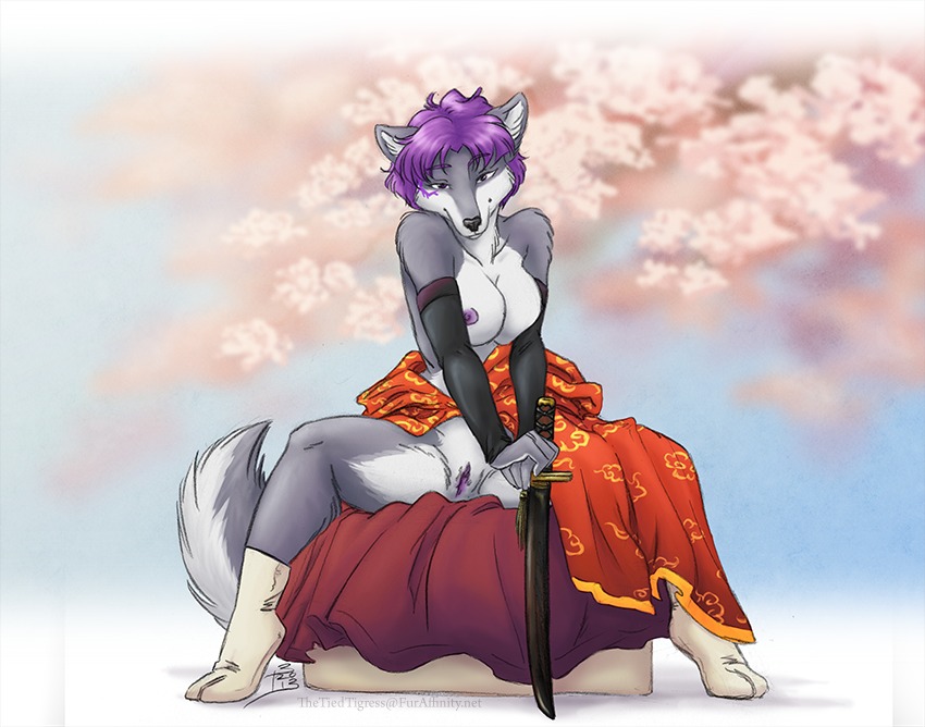 anthro biped breasts canid canine canis clothed clothing e621 female genitals grey_hair hair jess_(teckly) looking_at_viewer mammal melee_weapon nipples purple_hair purple_nipples sitting skimpy solo spread_legs spreading sword tail thetiedtigress vulva weapon wolf