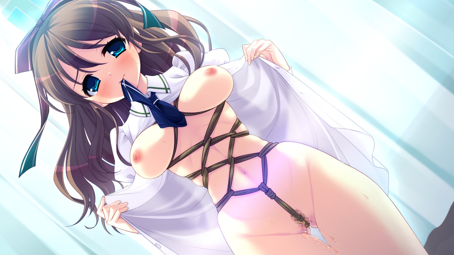 blue_eyes blush bondage breasts brown_hair censored female game_cg hair hamashima_shigeo hanamadoka_shino nipples open_clothes open_shirt pochi_to_goshujin-sama pussy pussy_juice rule34 shaved_pussy shirt skyfish