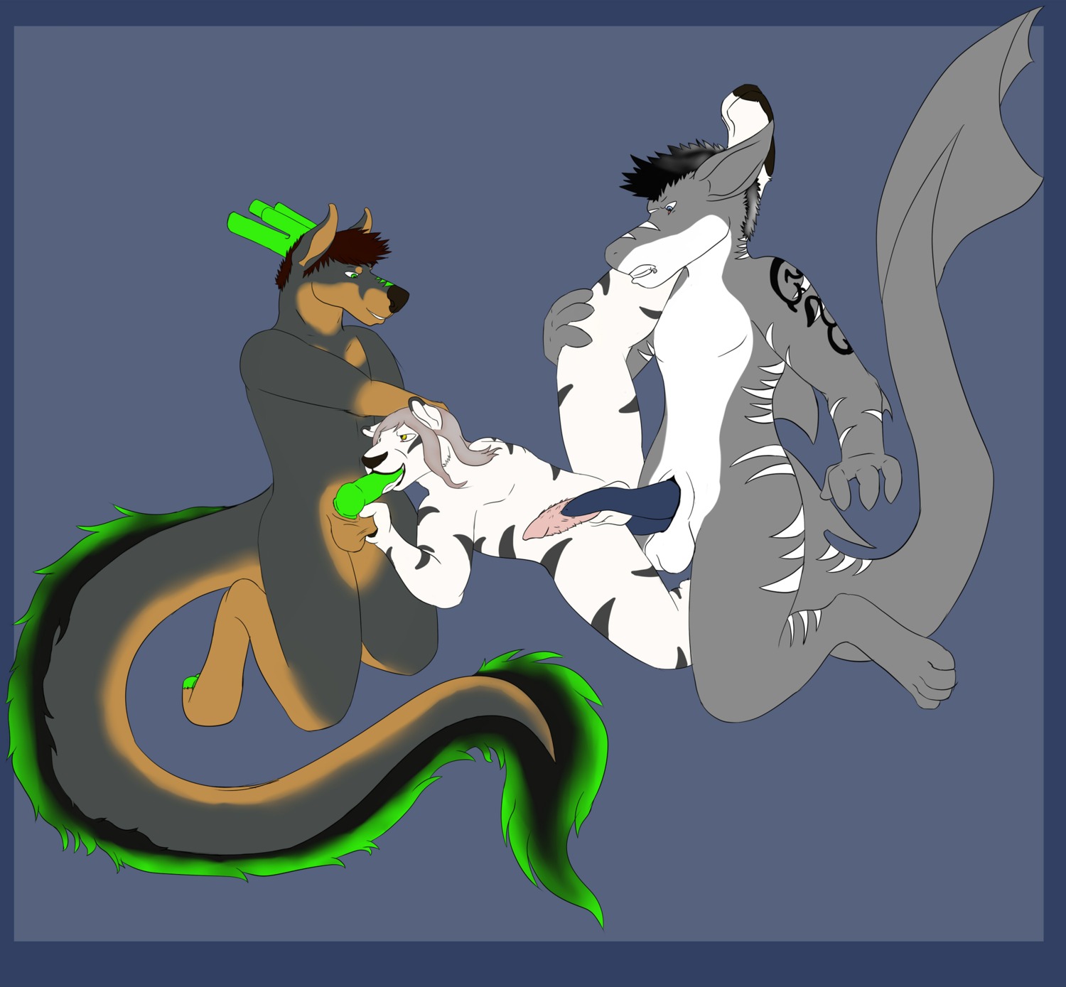 2_penises absurd_res anal anal_penetration animal_genitalia animal_penis anthro aquatic ball_fondling balls black_hair blue_border border brown_hair canid canine canis dobermann domestic_dog double_penetration dragon e621 erection felid fellatio fish fondling genitals grin group group_sex hair hemipenes hi_res interspecies kogoro kogorocloud male male/male male_penetrated male_penetrating male_penetrating_male mammal multi_genitalia multi_penis mythological_creature mythological_scalie mythology oral oral_penetration pantherine penetration penile penile_spines penis pinscher pointy_ears prick_ears sakuri_rainne scalie sex shark simple_background smile spitroast tail tapering_penis teeth threesome tiger trio white_hair zed