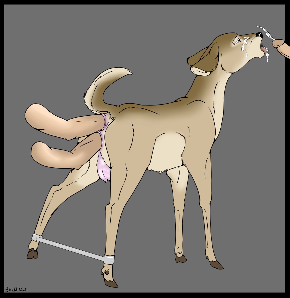2014 absurd_res anal anal_fisting anal_penetration backlash91 black_nose bodily_fluids conditional_dnp cum cum_on_face cum_on_tongue cumshot deer digital_media_(artwork) disembodied_hand disembodied_penis double_fisting e621 ejaculation erection faceless_character faceless_male female feral fisting genital_fluids genitals group group_sex hi_res hooves humanoid_genitalia humanoid_penis male male/female male_on_feral mammal orgasm penetration penis raised_tail restraints sex simple_background solo_focus spread_legs spreader_bar spreading tail teats tongue tongue_out vaginal vaginal_fisting vaginal_penetration