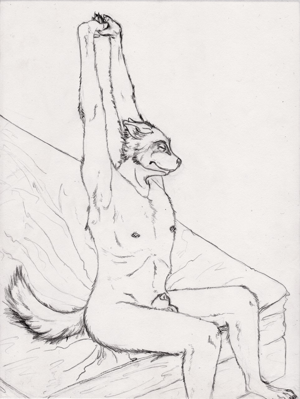animal_genitalia anthro armpit_hair arms_above_head balls bed biped black_and_white black_nose body_hair butt canid canine claws e621 eyes_closed feet flaccid front_view full-length_portrait furniture genitals graphite_(artwork) hi_res hindpaw male mammal monochrome nipple_piercing nipples nude paws penis piercing portrait semiotica sheath sitting solo stretching tail three-quarter_view traditional_media_(artwork)