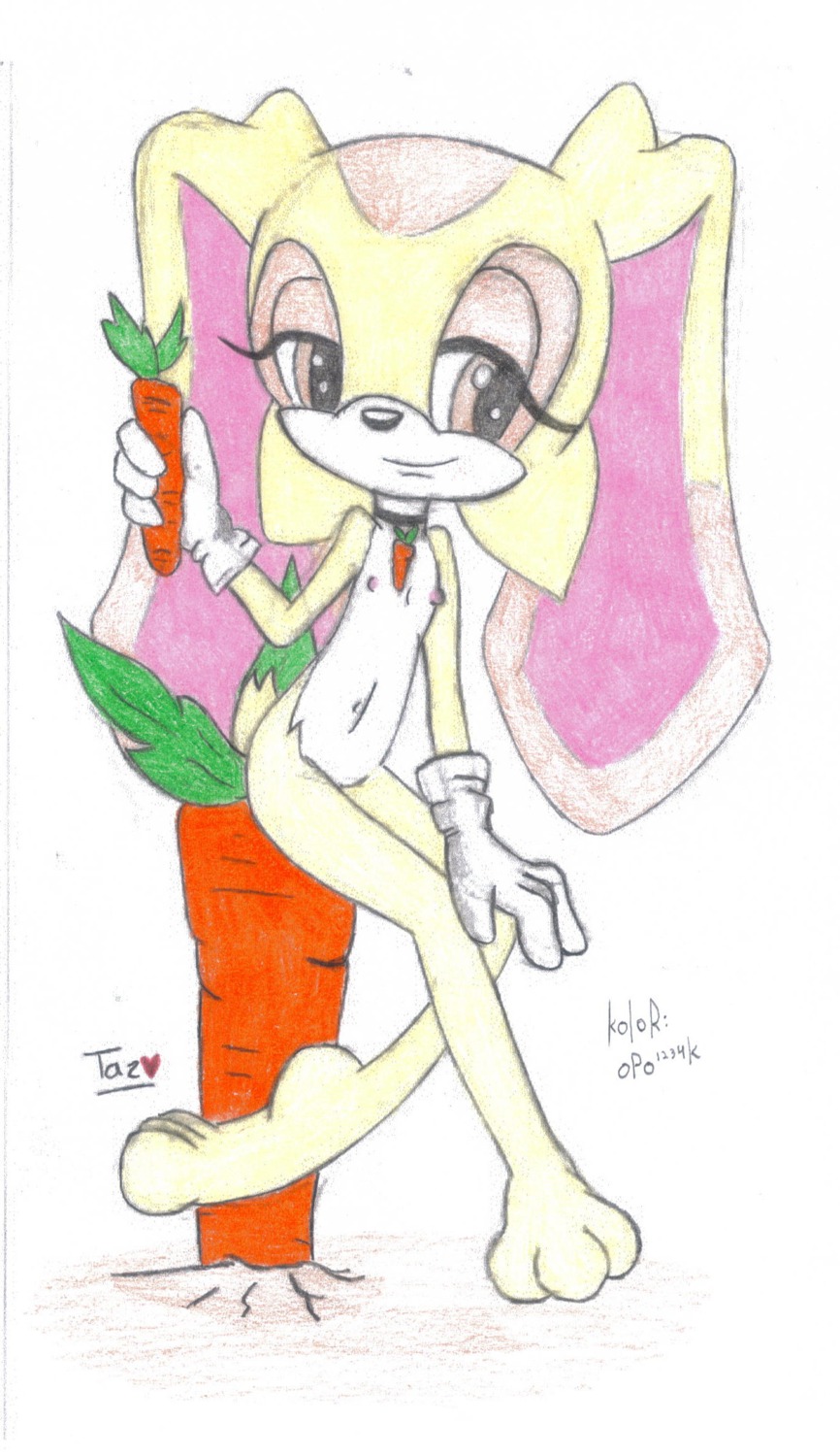 color cream_the_rabbit female female_only fur furry innocenttazlet rabbit rule34 sega solo sonic_(series) sonic_the_hedgehog_(series)