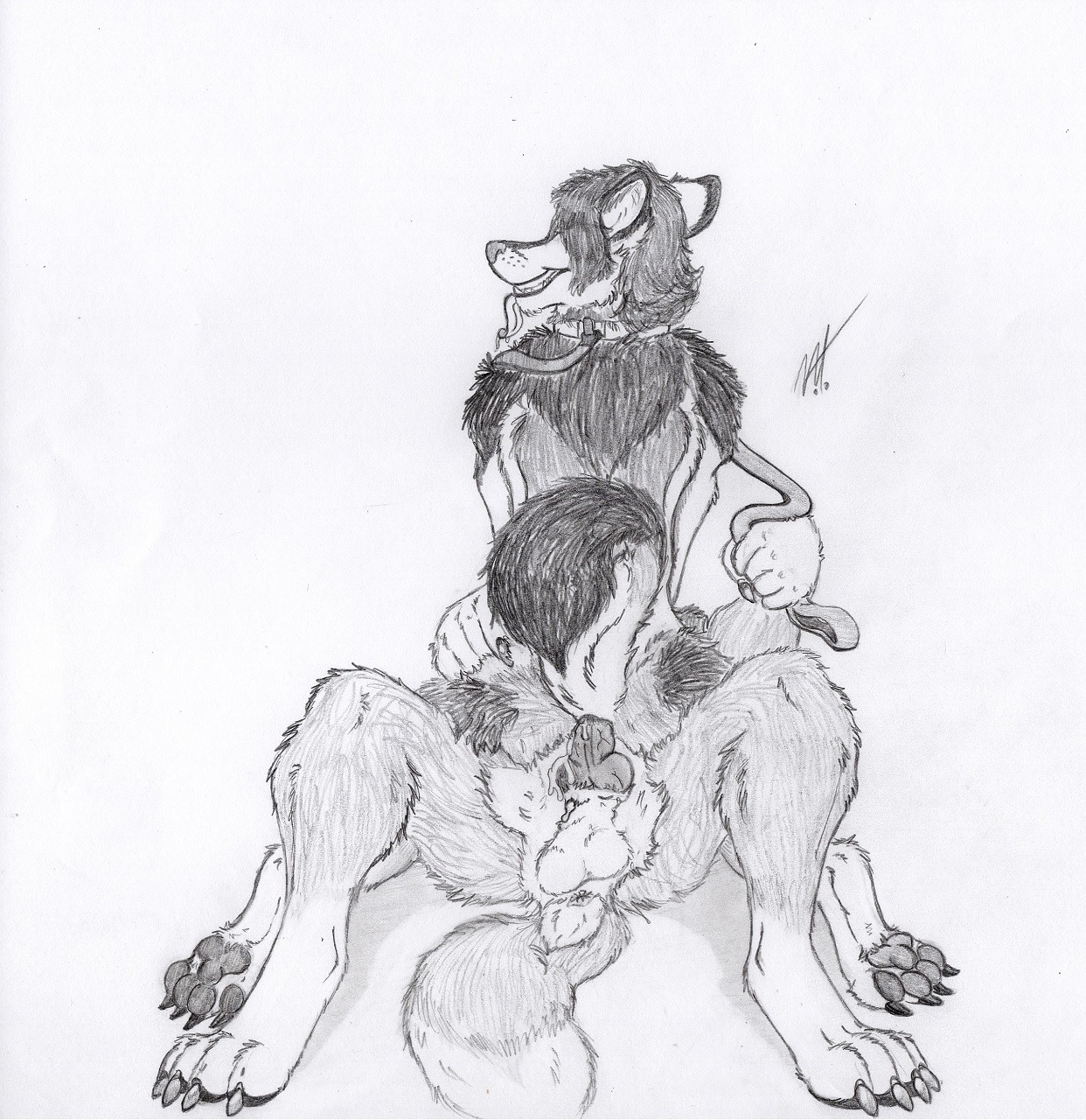 anal anal_penetration anthro anthro_on_anthro anus balls bodily_fluids canid canine canis claws collar cum digitigrade drooling duo e621 erection genital_fluids genitals hi_res knot leash male male/male male_penetrated male_penetrating male_penetrating_male mammal nicky_(tanim-kaxa) nude pawpads paws penetration penis saliva sex simple_background smile submissive submissive_male tanim-kaxa toe_claws wolf