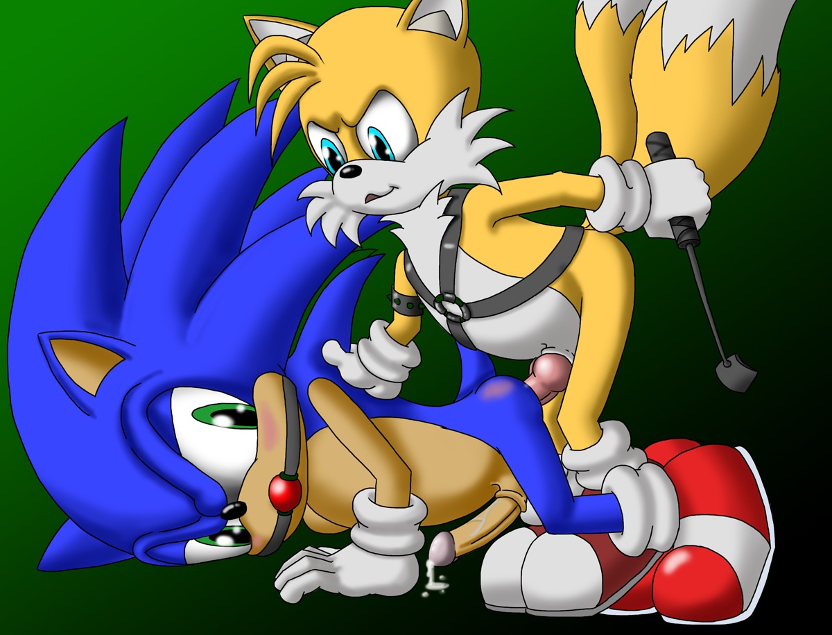 anthro ball_gag blue_fur bondage canine cobra_mcjingleballs fox fur furry furry_only furry_tail gag hedgehog male mammal multi_tail multiple_males no_humans rule34 sonic_(series) sonic_the_hedgehog sonic_the_hedgehog_(series) tail tails tails_the_fox yaoi