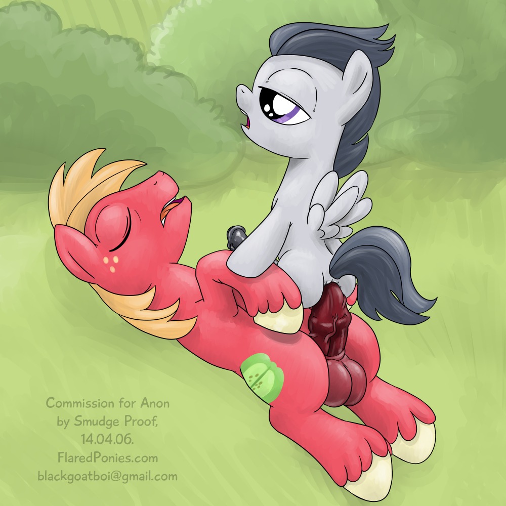 1:1 2014 age_difference anal anal_penetration animal_genitalia animal_penis anus balls bent_over big_macintosh_(mlp) bodily_fluids butt digital_media_(artwork) dominant duo e621 earth_pony equid equine equine_genitalia equine_penis erection feathered_wings feathers feral feral_on_feral feral_penetrated feral_penetrating feral_penetrating_feral friendship_is_magic frown fur genitals grey_body grey_feathers hair half-closed_eyes hand_on_butt happy hasbro hooves horse larger_dom larger_male looking_back looking_down looking_up male male/male male_penetrated male_penetrating male_penetrating_male mammal my_little_pony mythological_creature mythological_equine mythology narrowed_eyes older_male outside pegasus penetration penis pony quadruped rumble_(mlp) saliva sex short_hair size_difference smaller_male smaller_penetrated smile smudge_proof standing teeth tongue wings young young_feral younger_male younger_penetrated