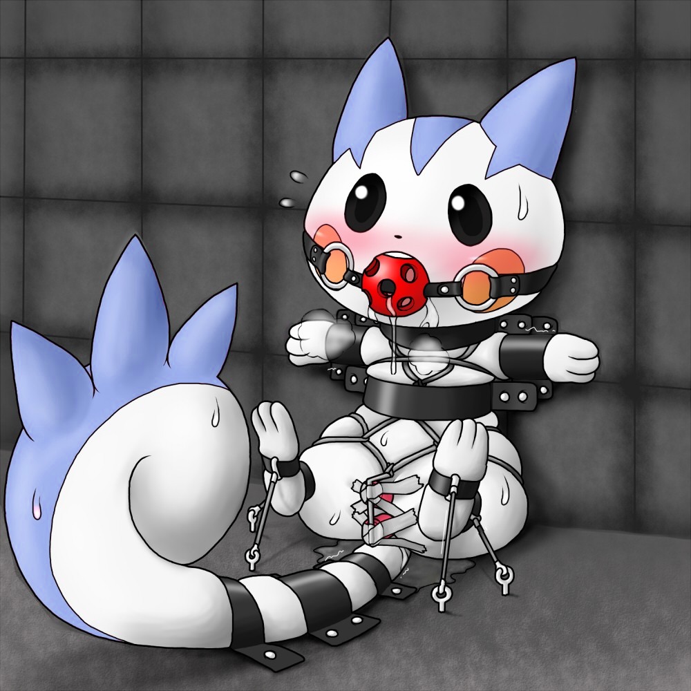 1:1 agnaktor_(pixiv) anal anal_penetration ball_gag bdsm bodily_fluids bondage bound breath double_penetration drooling duct_tape e621 female gag gagged generation_4_pokemon genital_fluids grey_eyes legs_up long_tail mammal nintendo pachirisu panting penetration pokemon pokemon_(species) rodent saliva sciurid sex_toy sex_toy_in_vagina sex_toy_insertion sitting solo strapped_in_toy submissive submissive_female sweat tail tape third-party_edit vaginal vaginal_fluids vaginal_penetration vibrator vibrator_in_vagina