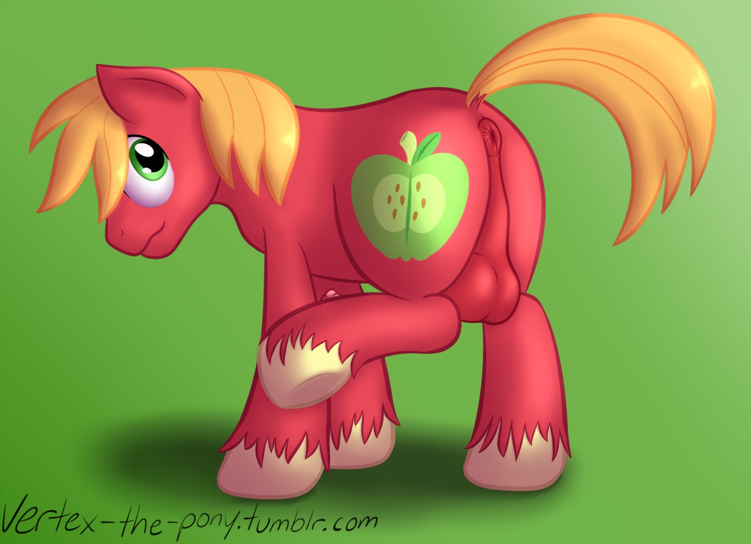 anus backsack balls big_macintosh_(mlp) butt cutie_mark e621 earth_pony equid equine erection feral friendship_is_magic genitals hair hasbro hi_res horse male mammal my_little_pony nude penis pony solo vertex