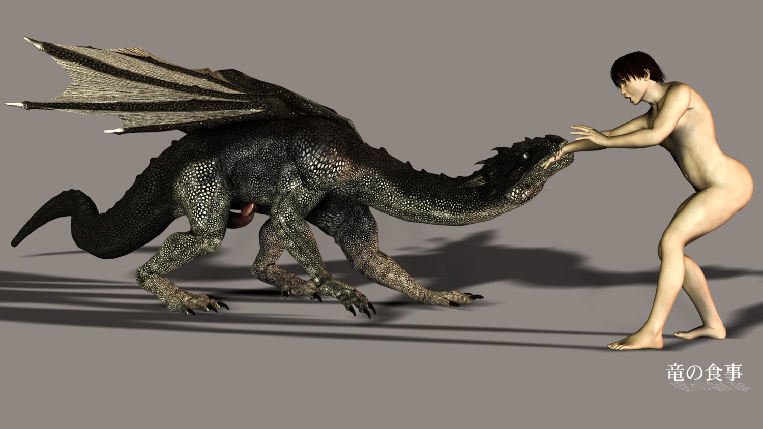 dragon dragonfood feral human male male_only penis rule34 scalie
