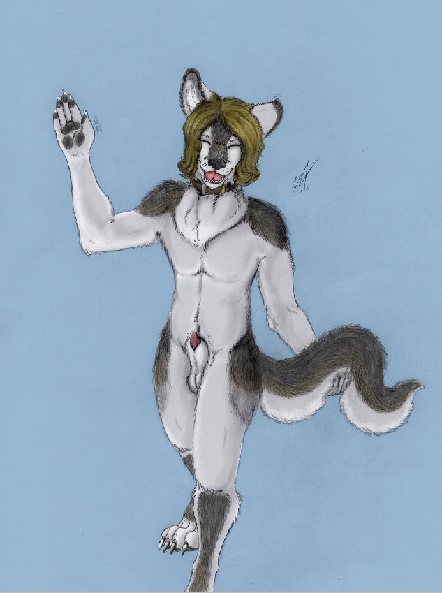 animal_genitalia animal_penis anthro balls biped canid canine canine_genitalia canine_penis canis claws collar digitigrade e621 eyes_closed genitals gesture hair holding_tail male mammal nicky_(tanim-kaxa) nude open_mouth pawpads penis penis_tip sheath smile solo tail tanim-kaxa waving wolf