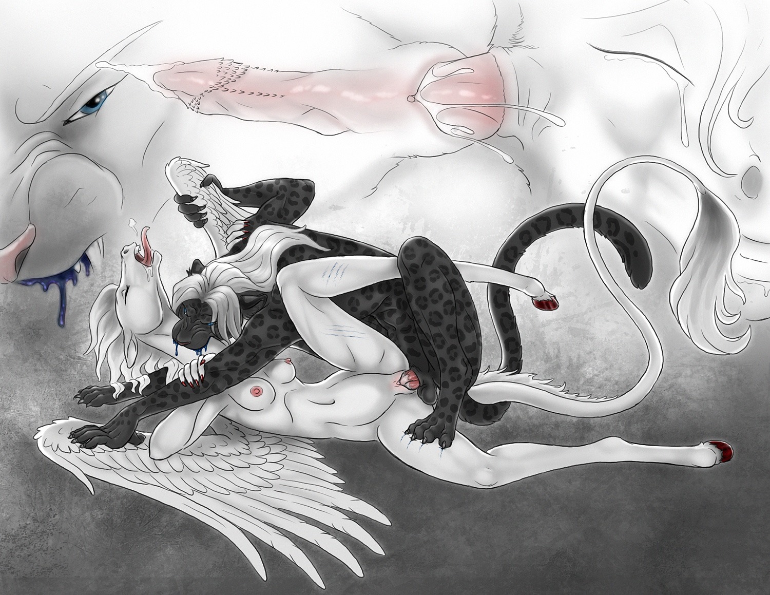 animal_genitalia animal_penis anthro anthro_on_anthro anthro_penetrated anthro_penetrating anthro_penetrating_anthro bagheera bagheera_(fursona) balls big_penis bite biting_another biting_partner black_body black_fur blood blue_blood blue_eyes bodily_fluids breasts claws climbing_on clitoris colored_blood crying cum cum_in_vagina cum_inside duo e621 equid equine erection eyes_closed fangs feathered_wings feathers felid feline_genitalia feline_penis female female_penetrated forced from_behind_position fur genital_fluids genitals hair hooves internal interspecies long_hair male male/female male_penetrating male_penetrating_female mammal mythological_creature mythological_equine mythology neck_bite nipples nude pegasus penetration penile penile_penetration penile_spines penis penis_in_vagina pink_nose pink_penis pink_tongue predator/prey raised_leg rape saliva sex sheath spread_legs spreading tail tears teeth throat_biting tongue tongue_out unusual_blood unusual_bodily_fluids vaginal vaginal_penetration vulva white_hair wing_grab wings wounded