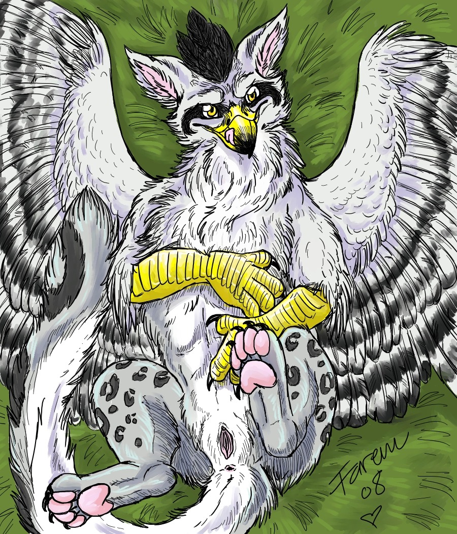 2011 anus avian beak e621 feathered_wings feathers female feral genitals goldenfox gryphon licking licking_lips licking_own_lips lying mythological_avian mythological_creature mythology on_back self_lick solo tail tongue tongue_out vulva wings